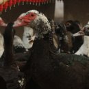 박규철농장 이미지