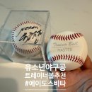 비타릴리스 | 유소년야구 피칭연습에 좋은 에이도스비타트레이너볼 소가죽회전연습야구공 사용후기