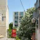 아우프글렛 - 용산구 이태원로54가길 20 | 한남동, 이태원 크로플 카페 추천 ‘아우프글렛’ 내돈내산, 솔직후기