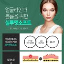 비시솔루션