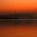 푸른감(푸른感) 이미지