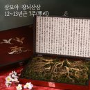 삼모아