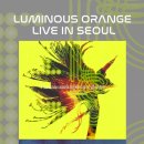 루미너스Luminous
