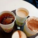 세븐일레븐 평창바위공원점 | <평창여행> 강원도 대형카페 * 에코힐 카페 * 에서 힐링 (평창 에코랜드에서 에코라이트 축제까지?!)