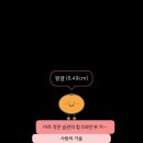 9. 5월을 마무리하며.