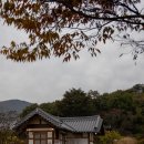 힐링이 되는 비내섬 이미지