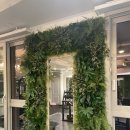 테리스짐 이미지