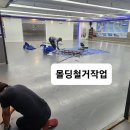 용인대체육관 이미지