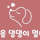 향내음댕댕이멀티샵