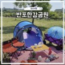 반포한강공원텐트 대여 돗자리 낭만소풍피크닉 한강 감성 피크닉 후기