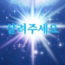 소로3-40 | 빈센트 갑상선암 수술 후기...