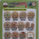 우리동네5분만두 이미지