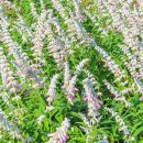 천문공원 이미지