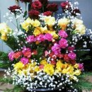 종암중앙어린이집 이미지