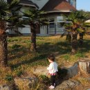 용문사입구공중화장실 이미지