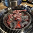 고고돼지 네이버블로그