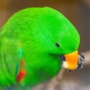 조천농장 이미지