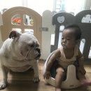 우리도니 이미지