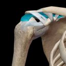 이즈메디의원 이미지