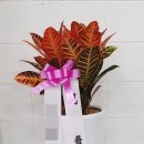 공단대로 이미지