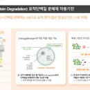 오름사
