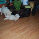 온달마루 이미지