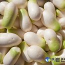 바른연합의원 이미지