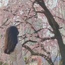 안녕;성내천 이미지