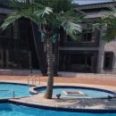 엘렌리조트 이미지