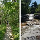 소나무숲민박 이미지