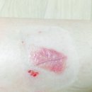 밝음약국 이미지