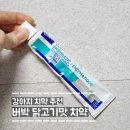 버박 닭고기맛 강아지 치약｜양치 싫어하던 강아지들이 달려오게 된 이유, 찐 사용후기