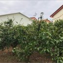 남원읍-9 이미지