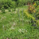 구례병원 이미지