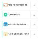 열무 | [연막창 대구종로직영점] 동성로 막창 맛집, 차돌박이관자삼합/살얼음열무막국수 후기