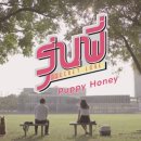 퍼피퍼피 이미지