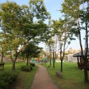 야로작은도서관 이미지