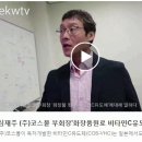 코스몰