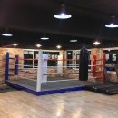 전진만 챔피언 복싱클럽 이미지