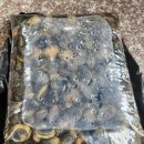 바다풍경펜션도시어부 이미지