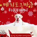 도그마루 이미지