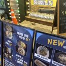 시청사거리1 | 종로 사거리포차 종각 본점 : 종각 직장인 맛집 경양식돈까스·해물순두부찌개 조합 솔직후기