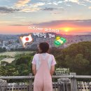 더리터철길 | 마쓰야마 마츠야마 여행 경비 4박5일 자유여행 비용 정리(73만원)
