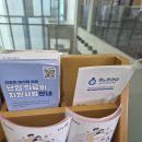 달과별들의이야기 | 소음순 수술 후 한달, 소음순수술 받고 솔직한 후기