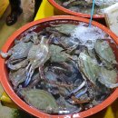 변산반도젓갈 이미지
