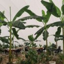 석기농장 이미지