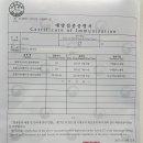 닥터진치과의원 이미지