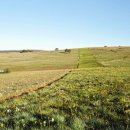 양산대로 이미지