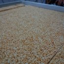 부성상회 이미지