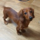 간석1동-24 이미지